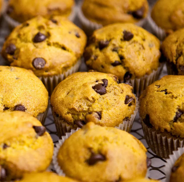 Pumpkin Chocolate Chip Muffins
