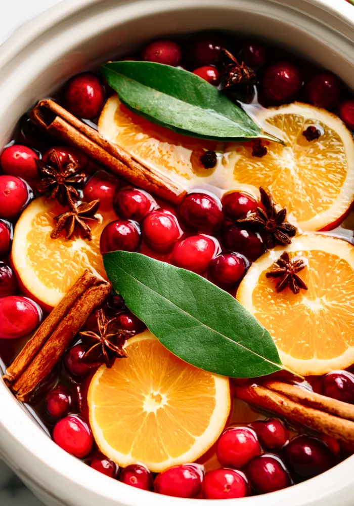 10 Christmas Simmer Pot Recipes