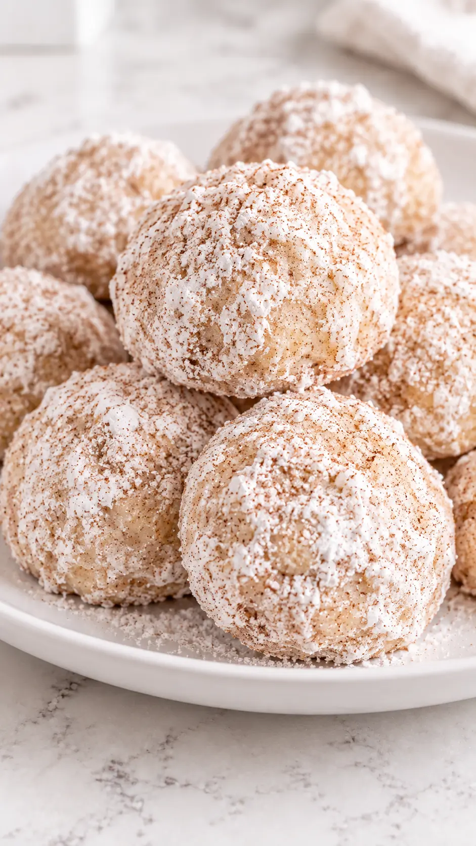Cinnamon Sugar Snowball Cookies